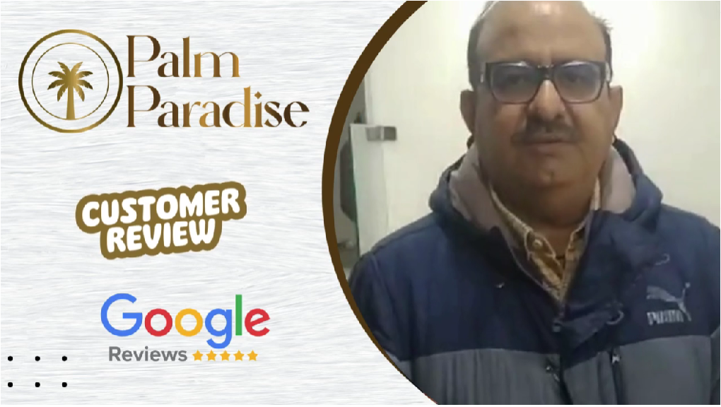 Palm Pradise client review-1
